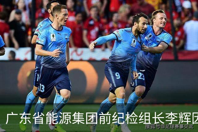广东省能源集团前纪检组长李辉因涉嫌严重违纪接受调查